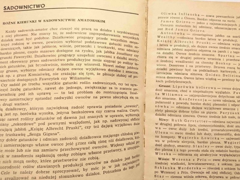 INFORMATOR DZIAŁKOWCA 1980