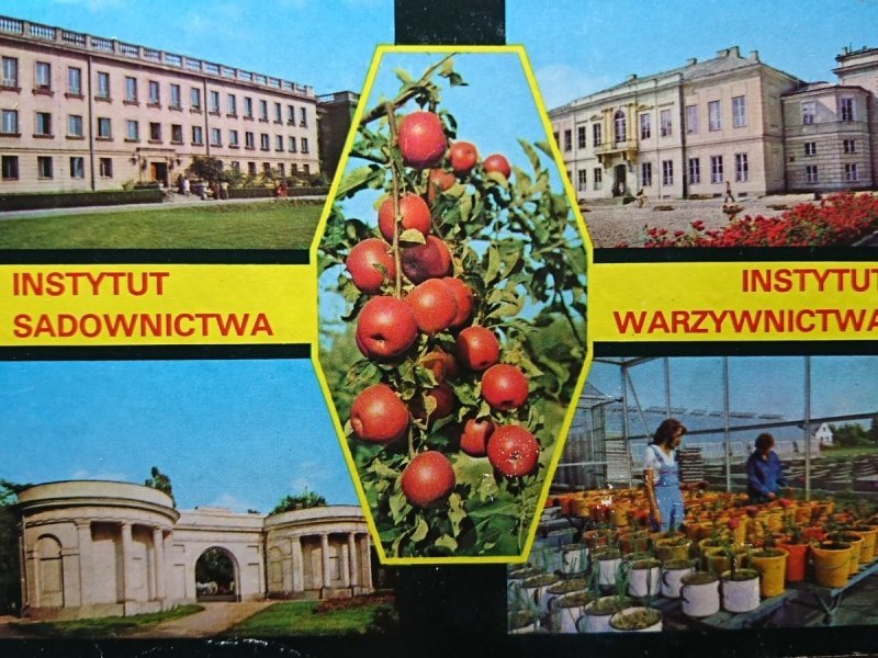 SKIERNIEWICE. INSTYTUT SADOWNICTWA...FOT JABŁOŃSKI