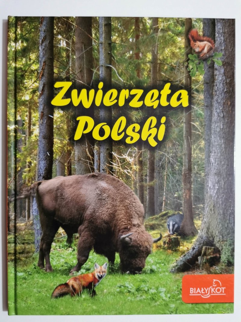 ZWIERZĘTA POLSKI - Elżbieta Zarych