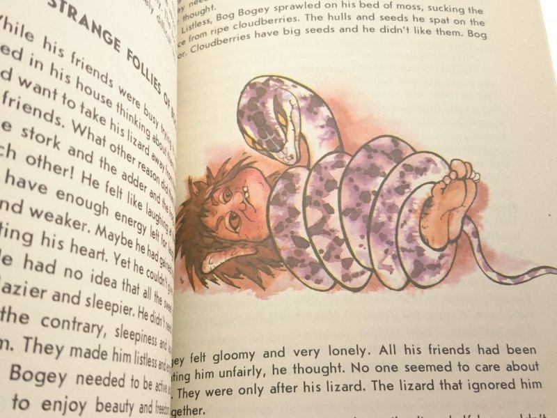 BOG BOGEY AND LIZARD - Aino Pervik 1988