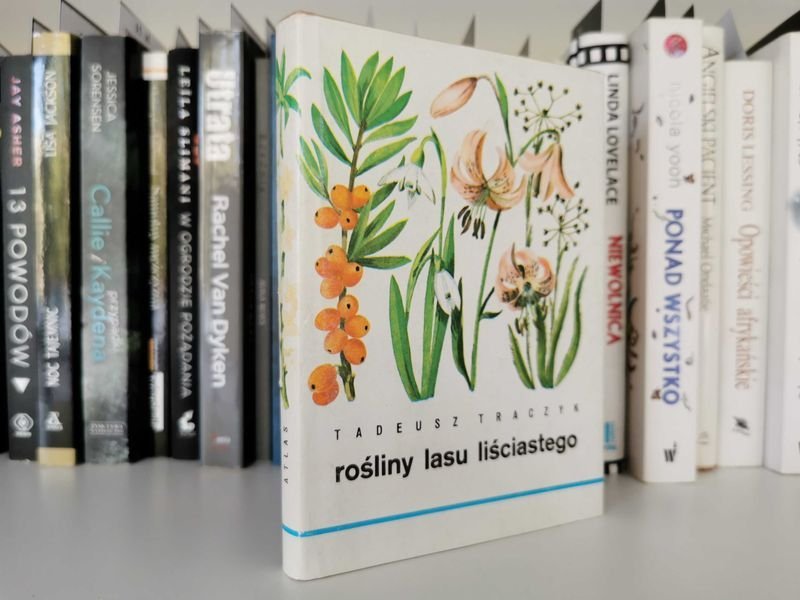 Rośliny lasu liściastego - Traczyk