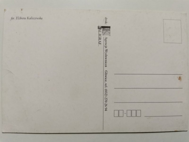 DWA KONIE NA TLE WSCHODU SŁOŃCA FOT. ELŻBIETA KALISZEWSKA