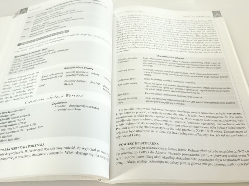 JĘZYK POLSKI REPETYTORIUM. MATURA NA 100%