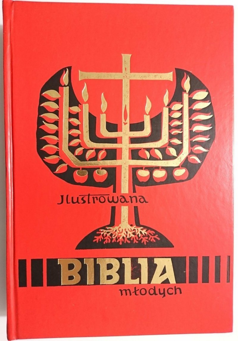 ILUSTROWANA BIBLIA MŁODYCH - Ks. Tomasz Hergesel 