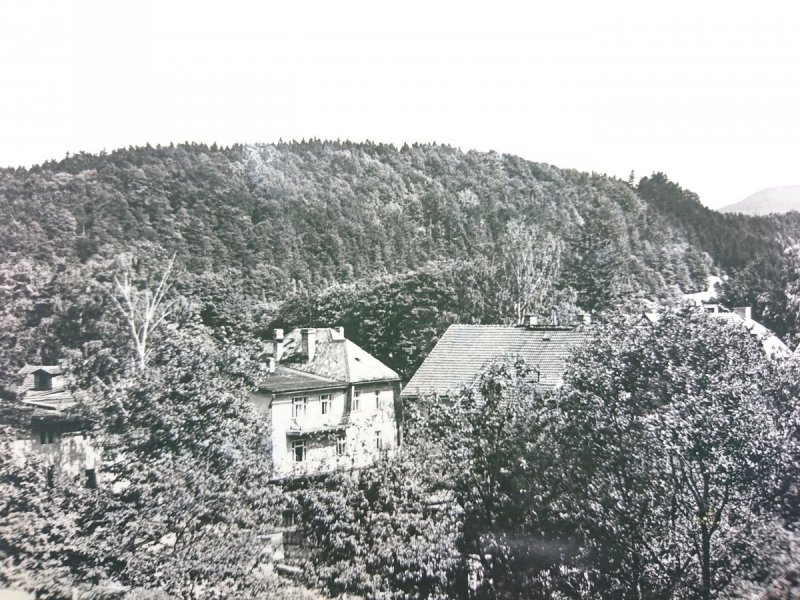 KUDOWA-ZDRÓJ. GÓRA PARKOWA FOT. OSUCHOWSKI