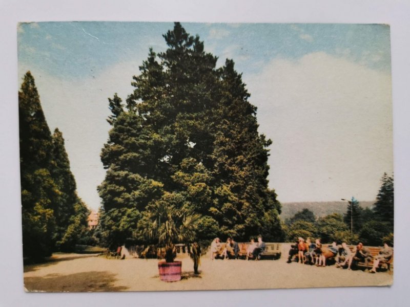 ŚWIERADÓW ZDRÓJ. PARK ZDROJOWY FOT. KRASSOWSKI