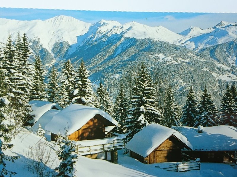 L'HIVER EN MONTAGNE