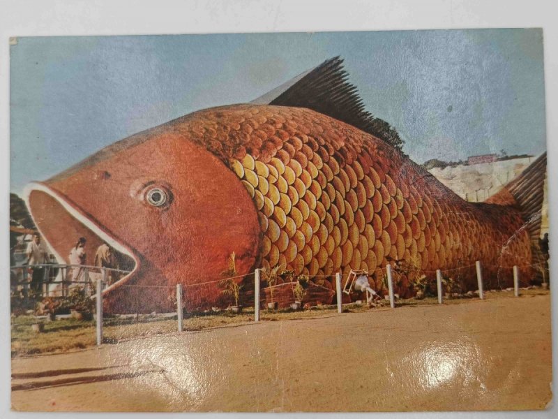 INDIA BANGALORE A FISH MODEL