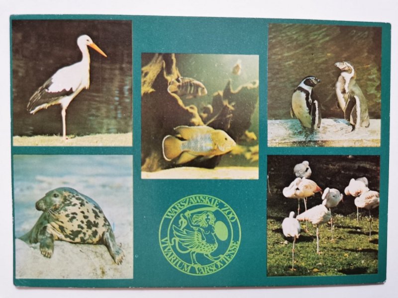 MIEJSKI OGRÓD ZOOLOGICZNY W WARSZAWIE. PIĘĆ UJĘĆ FOT. CHMIELEWSKI