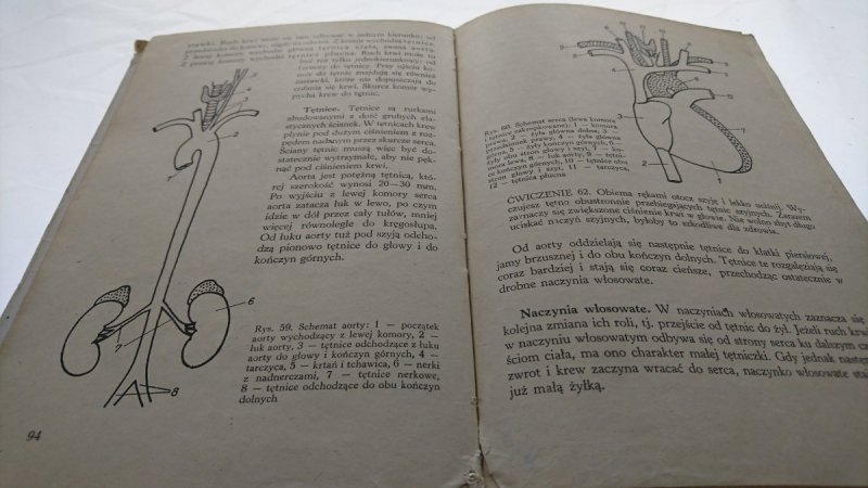 NAUKA O CZŁOWIEKU DLA KLASY VIII - Stęślicka 1979