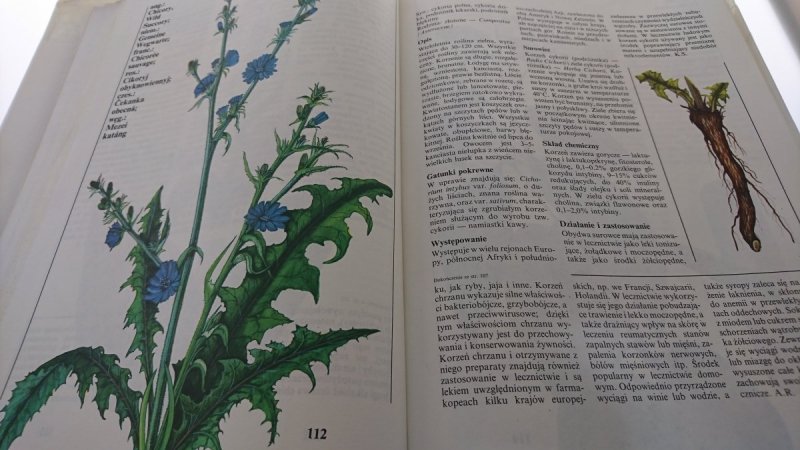 KWITNĄCY OGRÓD. LEKSYKON ROŚLIN LECZNICZYCH 1990