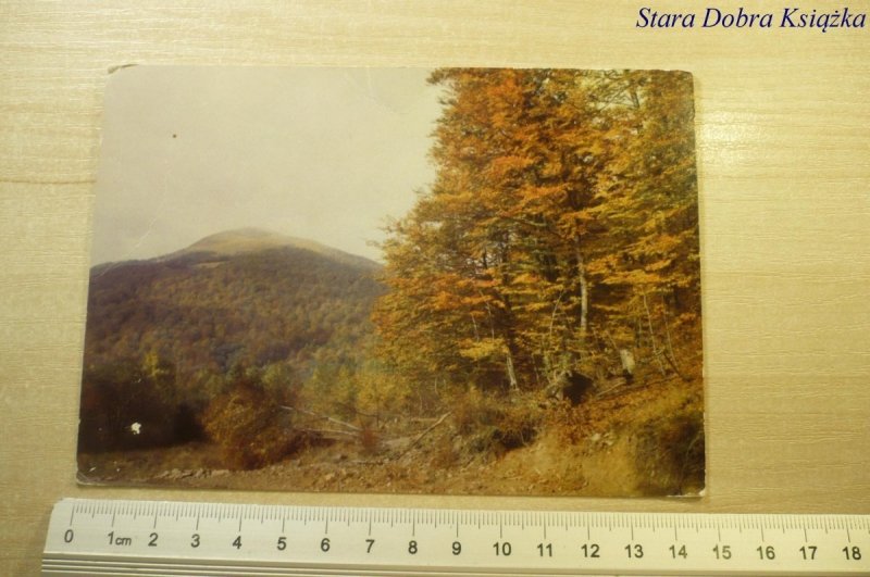 BIESZCZADY. WIDOK NA TARNICĘ FOT. M. RACZKOWSKI