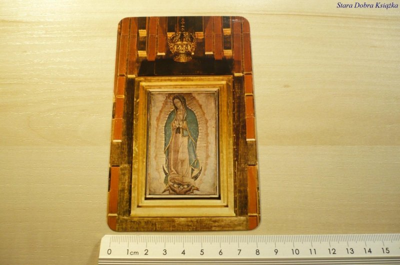 IMAGEN DE LA VIRGEN DE GUADALUPE EN EL INTERIOR
