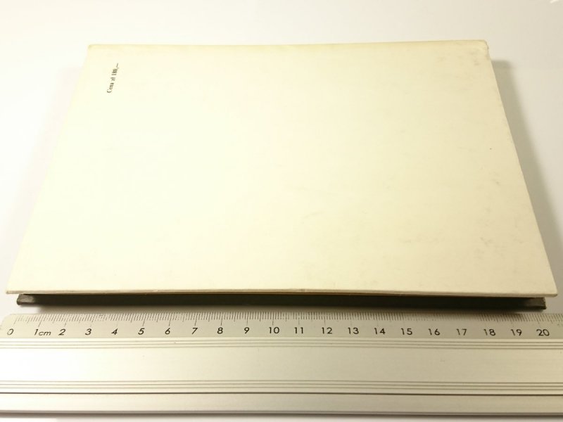 STRAŻNIK KRÓLEWSKIEGO GROBU - Marian Brandys 1984