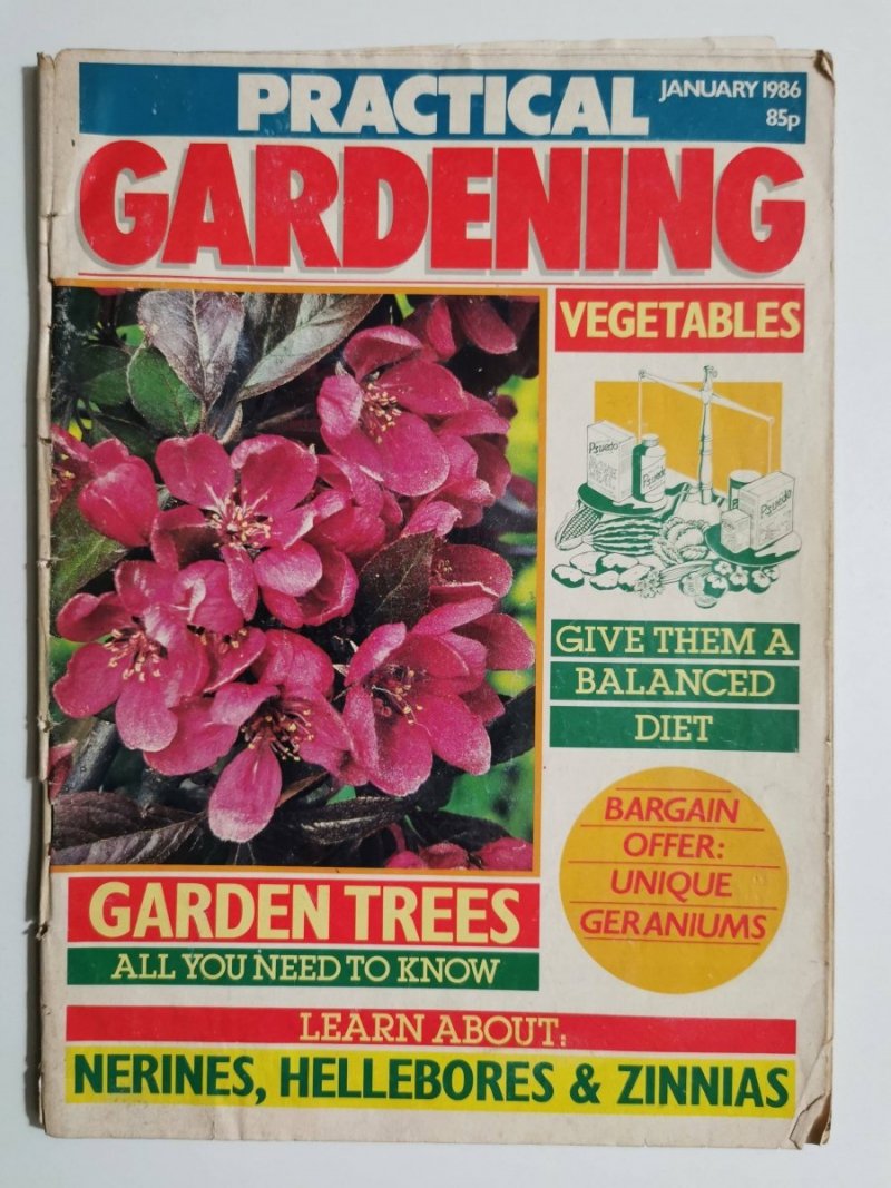 PRACTICAL GARDENING JANUARY 1986 85P