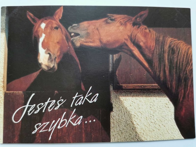 JESTEŚ TAKA SZYBKA... BRĄZOWE KONIE