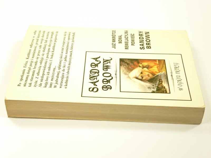 W JEDWABNEJ SIECI - Sandra Brown 1994