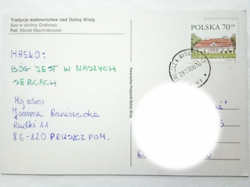 SAD W OKOLICY GRABOWA FOT. MAREK MACHNIKOWSKI