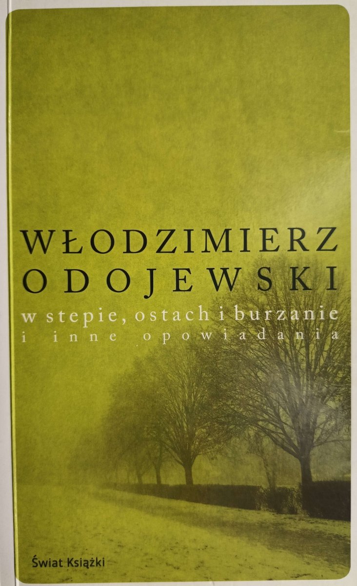 W STEPIE, OSTACH I BURZANIE I INNE OPOWIADANIA - Włodzimierz Dostojewski