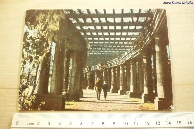 WROCŁAW. PERGOLA W PARKU