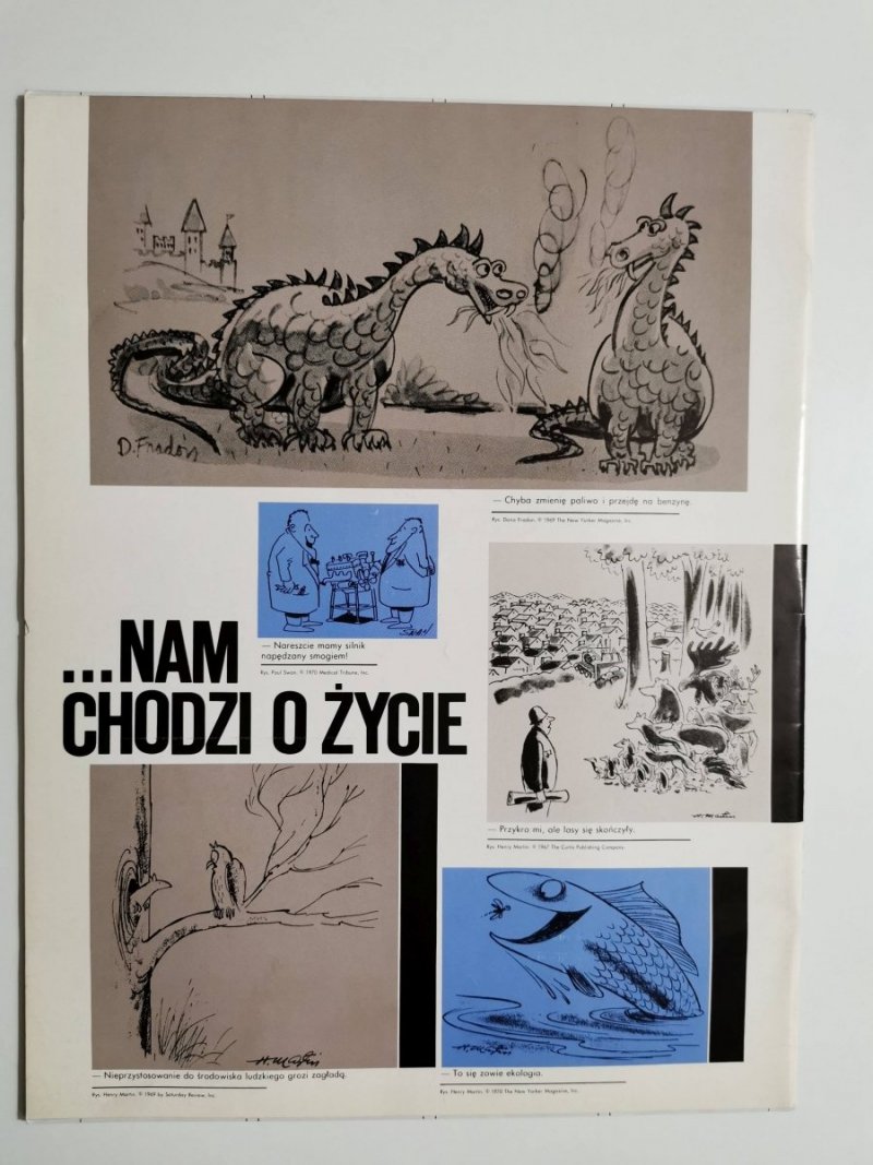 AMERYKA NR 151 SIERPIEŃ 1971