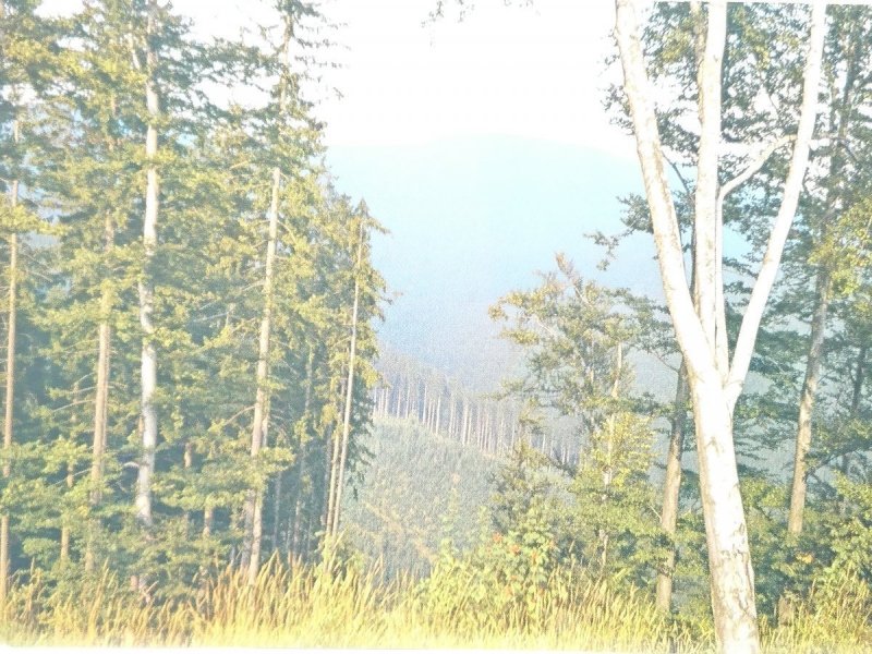 BESKID ŻYWIECKI. KRAJOBRAZ