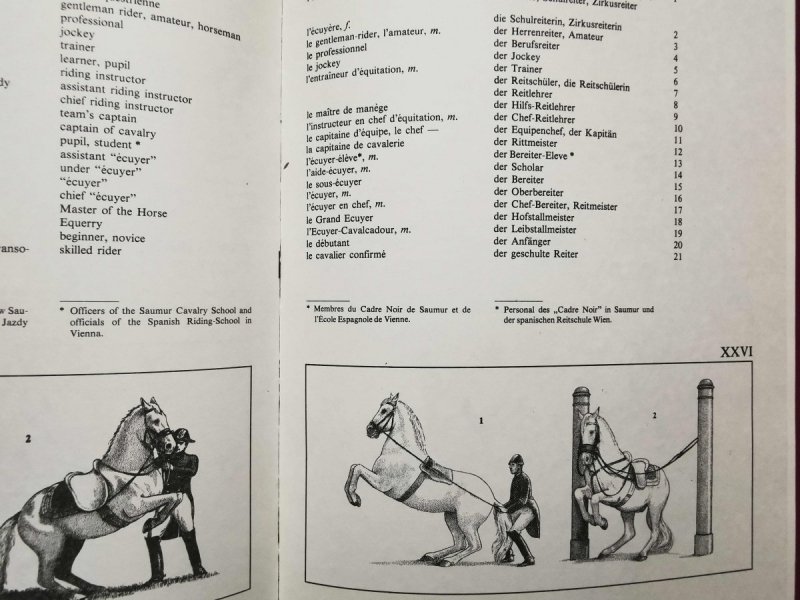 Koń i Jeździectwo 1986
