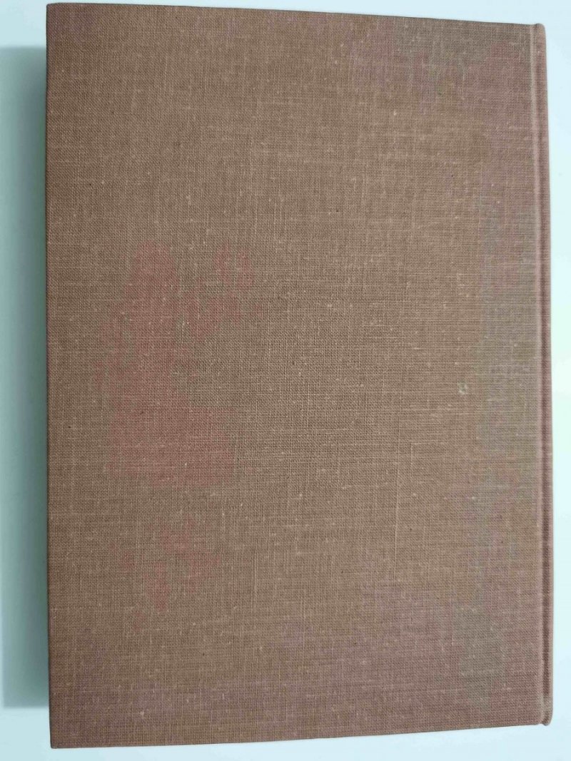 POLACY W PETERSBURGU - Ludwik Bazylow 1984