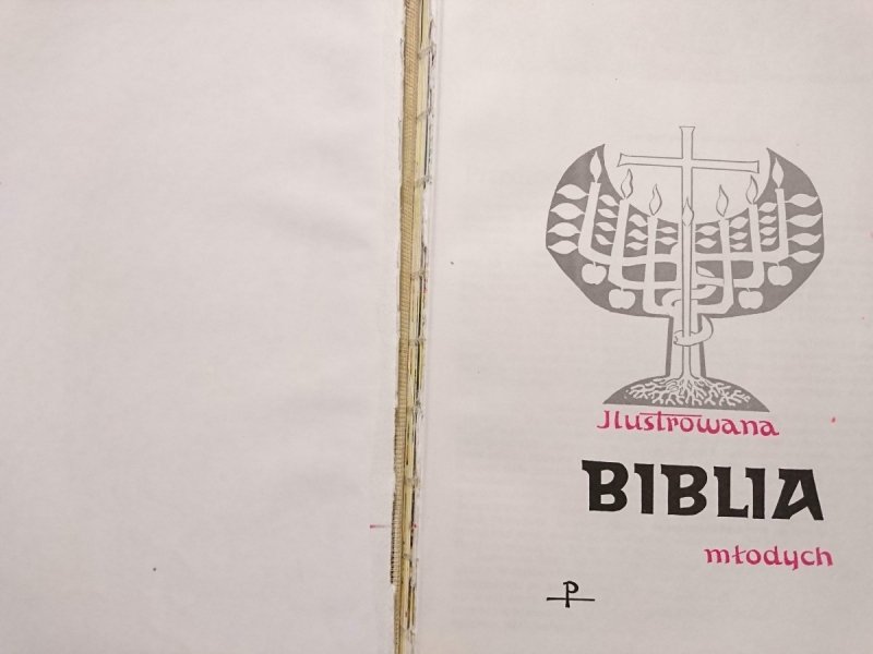 ILUSTROWANA BIBLIA MŁODYCH - Ks. Tomasz Hergesel 