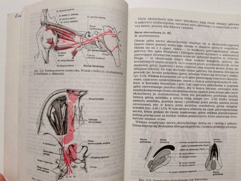 DIAGNOSTYKA TOPOGRAFICZNA W NEUROLOGII - Peter Duus 1989