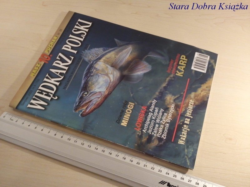 WĘDKARZ POLSKI NR. 8 / 2003 DZIWNE RYBY MINOGI