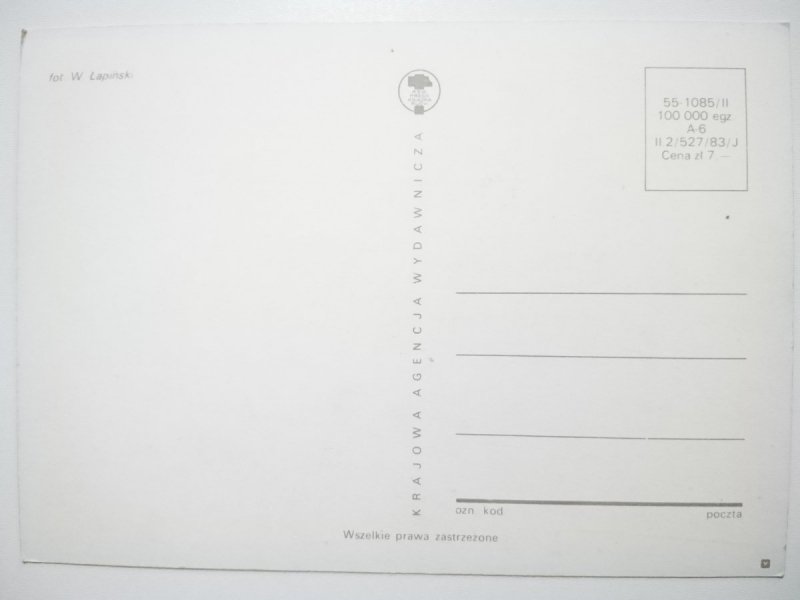 DWA MAŁE SZCZENIAKI FOT. W. ŁAPIŃSKI