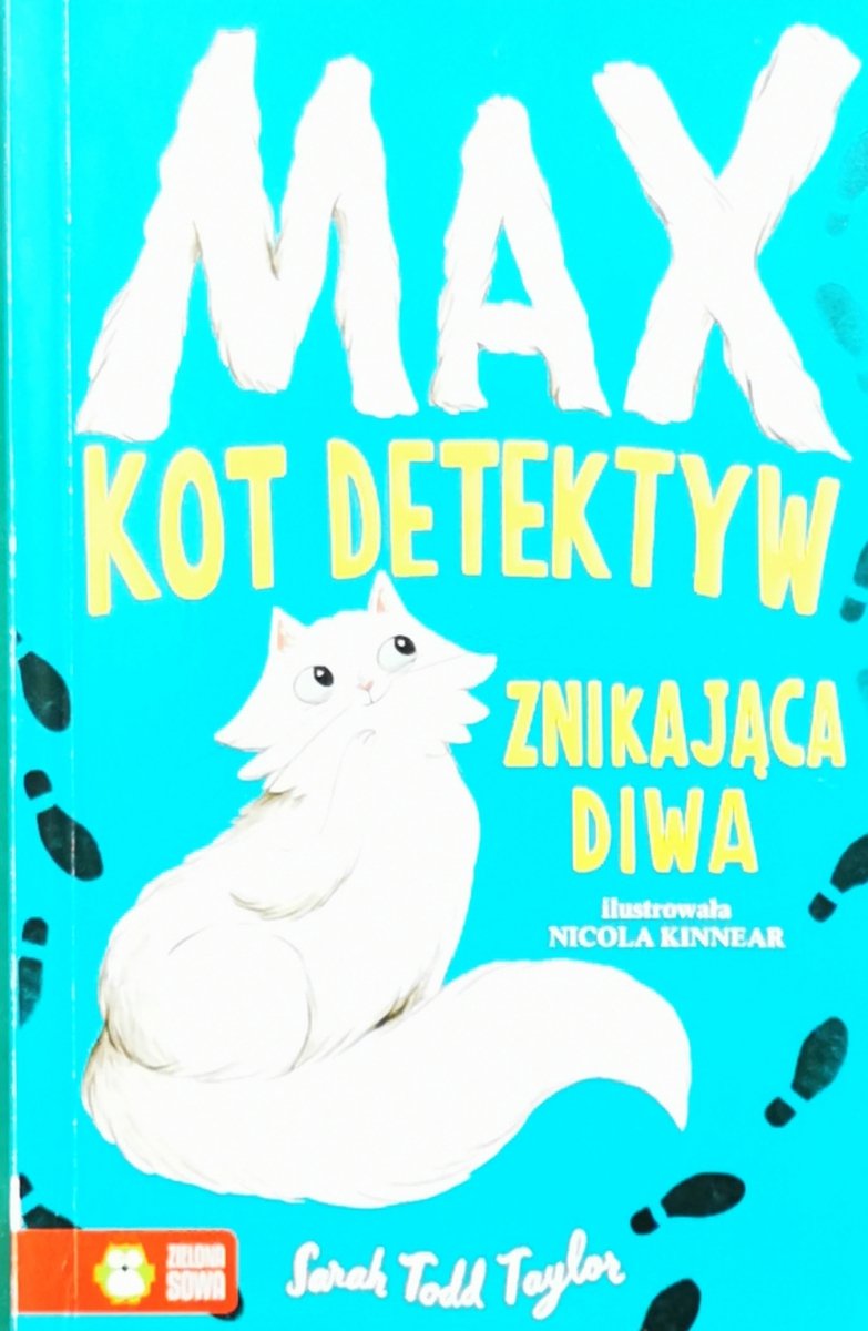 ZNIKAJĄCA DIWA - Sarah Todd Taylor