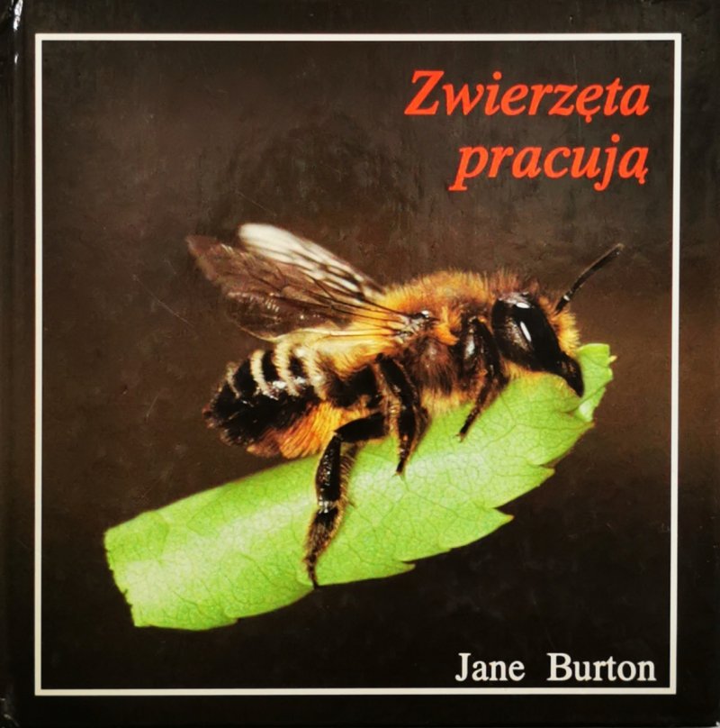 ZWIERZĘTA PRACUJĄ - Jane Burton