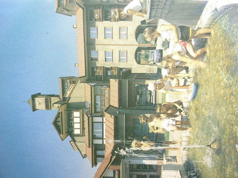 LESZCZYNY - CZERWIONKA. FOT. W. ECHEŃSKI