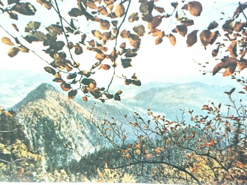 PIENINY WG FOT. BARWNEJ T. BILIŃSKIEGO