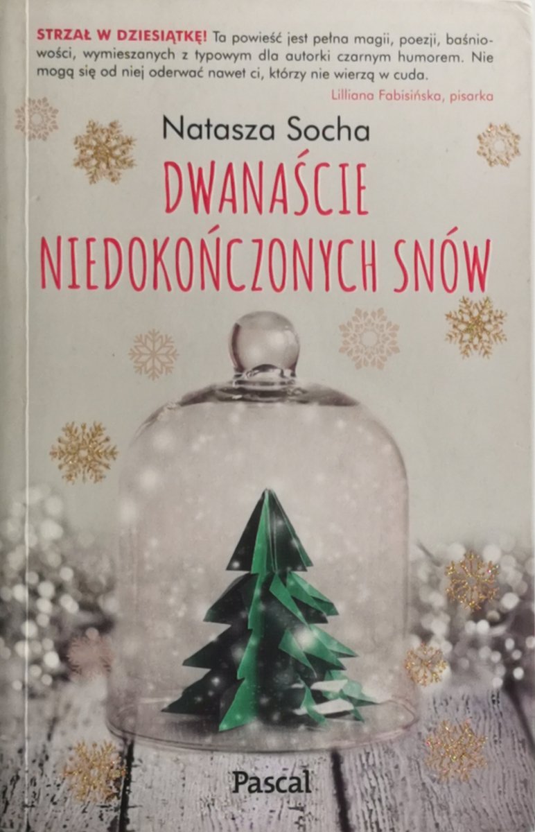 DWANAŚCIE NIEDOKOŃCZONYCH SNÓW - Natasza Socha