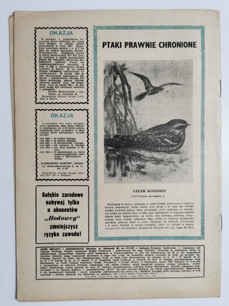 HODOWCA GOŁĘBI POCZTOWYCH NR 3 1967