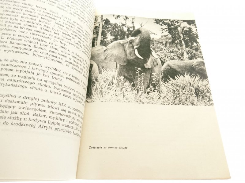 NA TROPACH SŁONIA AFRYKAŃSKIEGO - Żyrkiewicz 1968