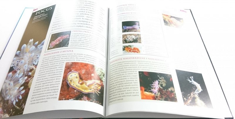 WIELKA ENCYKLOPEDIA KRÓLESTWO ZWIERZĄT TOM 43 MIĘCZAKI