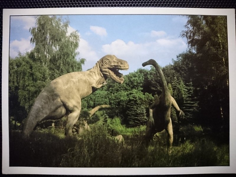 CHORZÓW – WOJEWÓDZKI PARK KULTURY I WYPOCZYNKU. DOLINA DINOZAURÓW FOT. PILECKI