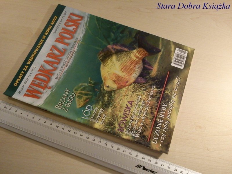 WĘDKARZ POLSKI NR.1/2002 NA PŁYTKIEJ WODZIE