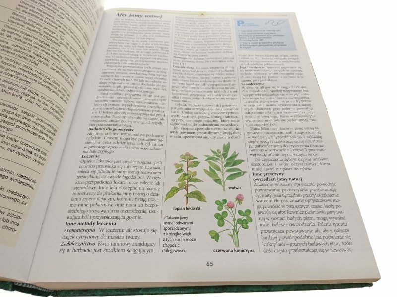 RODZINNA ENCYKLOPEDIA ZDROWIA 2002