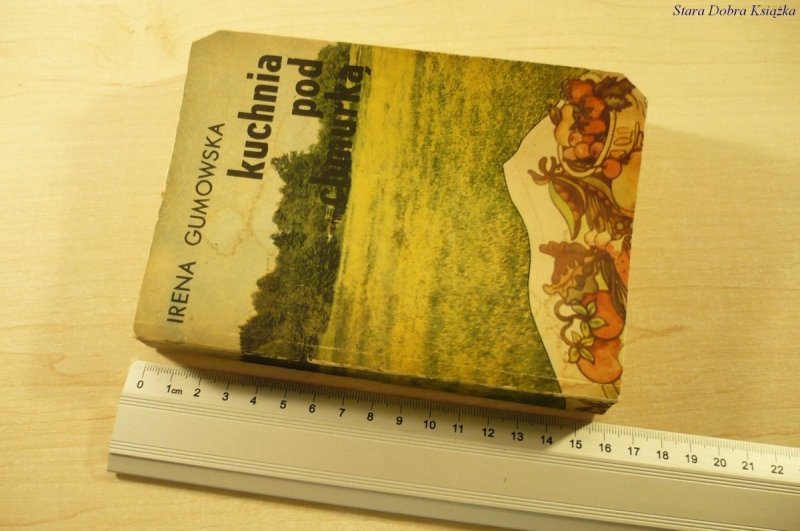 KUCHNIA POD CHMURKĄ - Irena Gumowska (1981)