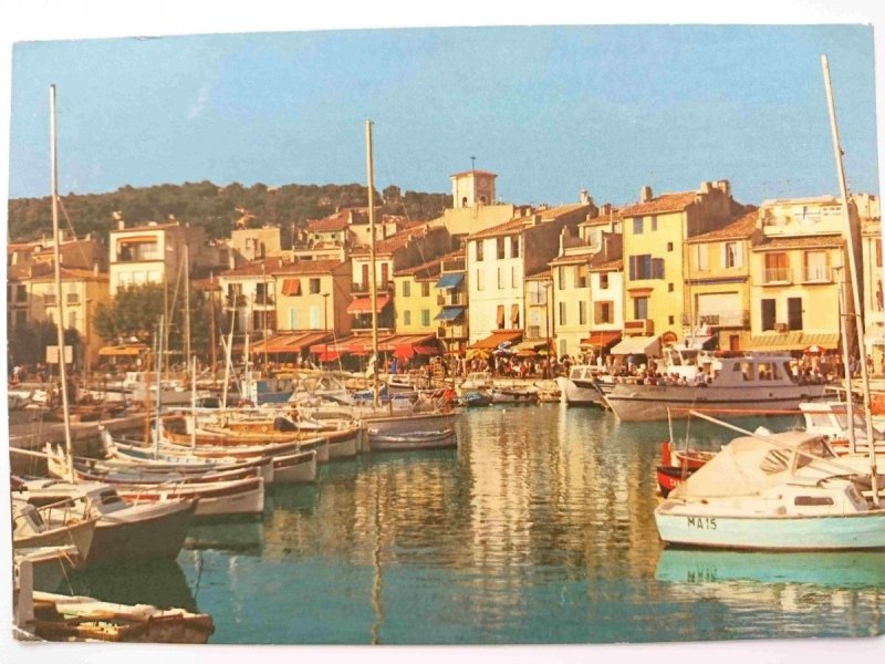 UNE ROSE A LA BOUTONNIERE DE LA PROVENCE. CASSIS-SUR-MER. LE PORT