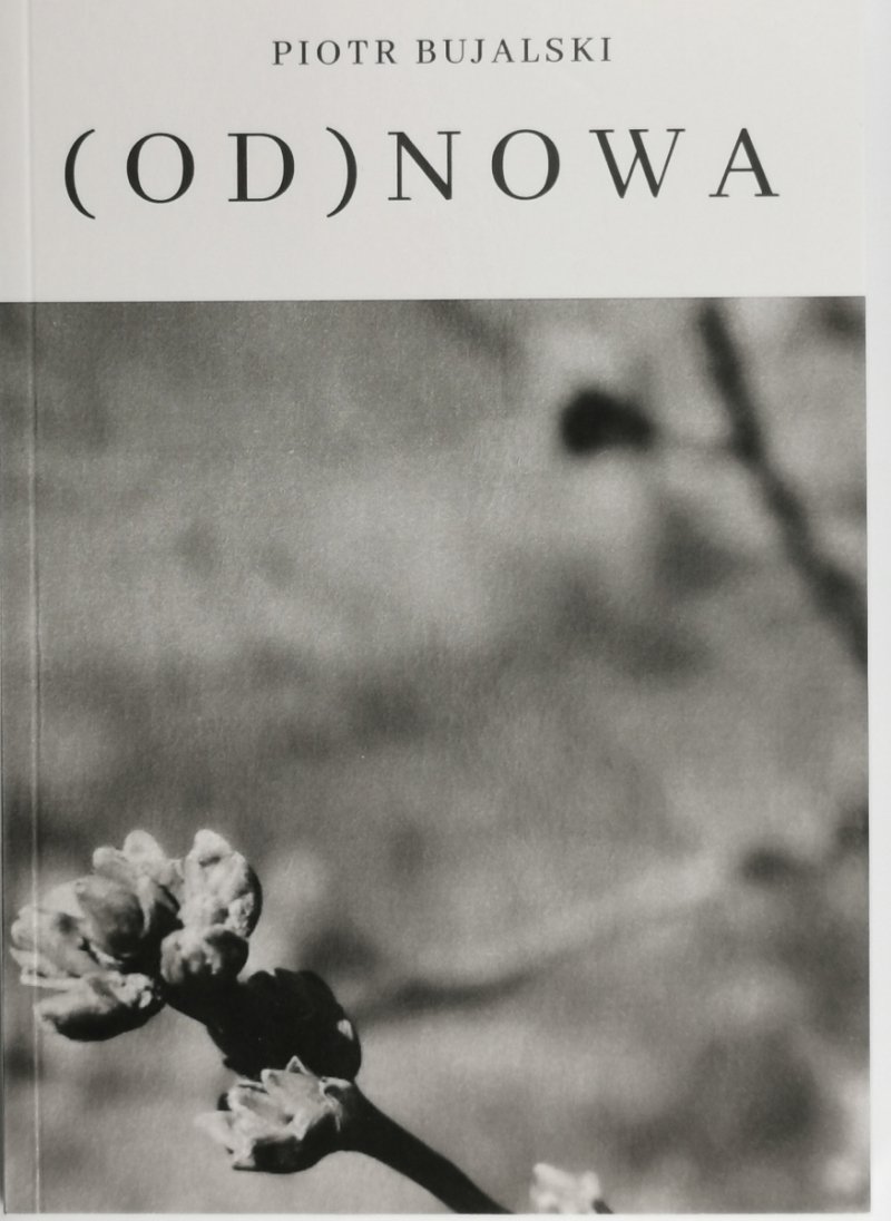 (OD) NOWA - Piotr Bujalski