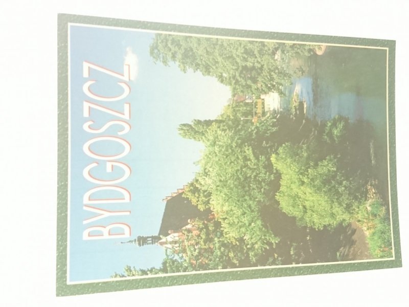 BYDGOSZCZ. JAZ MŁYŃSKI NA BRDZIE FOT. JANOWSKI