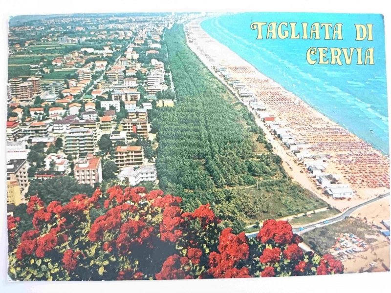 TAGLIATA DI CERVIA. PANORAMA