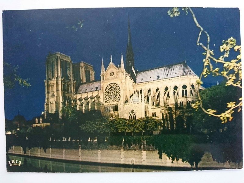 PARIS. NOTRE-DAME ILLUMINEE