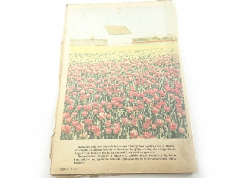PŁOMYCZEK ROK 41 16-30. IV. 1962 NR 8